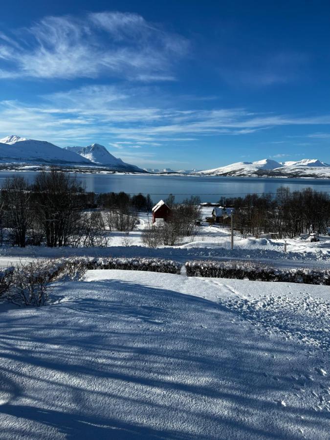 Liten Kjellerleilighet. Landlig Rolig Omrade. Тромсё Экстерьер фото